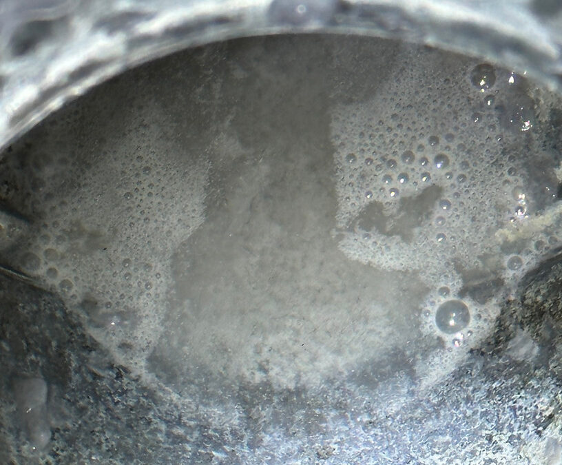 Water in My Dryer Vent